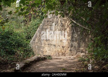 Abschnitt der alten Steinmauer des historischen Wasserkraftwerks auf dem Hermon stream Trail in Israel umgeben von dichten semitropical Vegetarisches Stockfoto