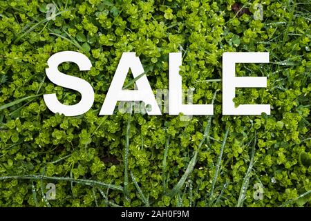 Frühling Verkauf. Buchstaben auf frisches Gras von Klee und Tautropfen. Stockfoto