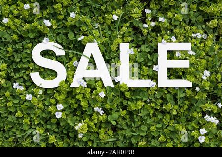 Frühling Verkauf. Buchstaben auf frisches Gras von Klee und weißen Blüten. Stockfoto