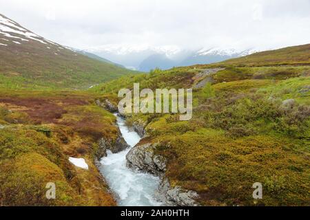 Tundra biome Landschaft in Norwegen. Bergbach im Aurlandsfjellet. Stockfoto