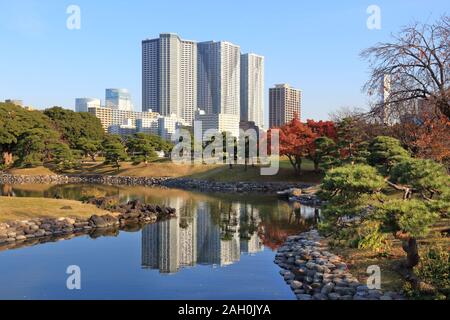 Tokio Skyline - Wolkenkratzer Reflexion in Hamarikyu Gärten. Tokio, Japan. Stockfoto