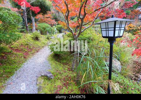 Nara, Japan. Herbstfarben im Japanischen Garten. Yoshikien Garten. Stockfoto