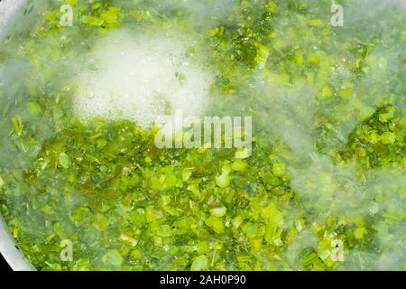 Brassica Blätter in kochendem Wasser, Wasser blasen springen aus dem Wasser. Ein lokales Gericht aus Indien und Pakistan, der berufen ist, saag sarsoon. Stockfoto