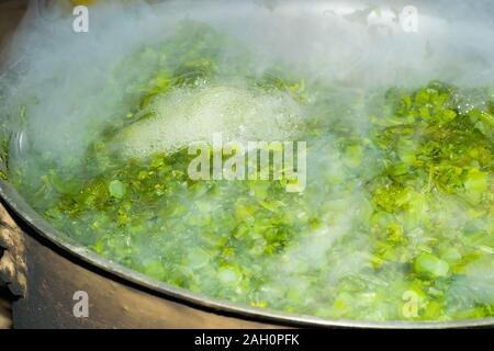 Brassica Blätter in kochendem Wasser, Wasser blasen springen aus dem Wasser. Ein lokales Gericht aus Indien und Pakistan, der berufen ist, saag sarsoon. Stockfoto