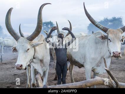 Ein mundari Stamm Mann ahmt die Position der Hörner seines Lieblings Kuh, Central Equatoria, Terekeka, South Sudan Stockfoto