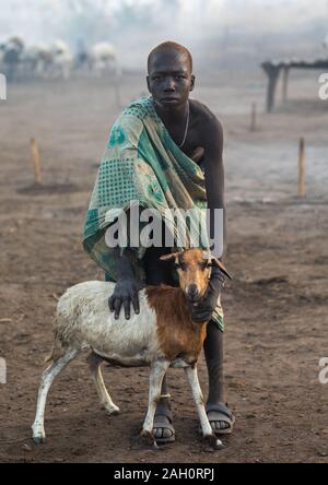 Mundari Stamm junge kümmert sich um ein Schaf in einem Camp, Central Equatoria, Terekeka, South Sudan Stockfoto