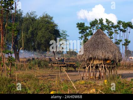 Traditionelle Mundari Stamm, Dorf, Central Equatoria, Terekeka, South Sudan Stockfoto