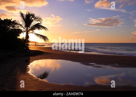 Sonnenuntergang auf Guadeloupe Sandstrand. Karibik Urlaub Landschaft. Perle Strand (Plage de la Perle). Stockfoto