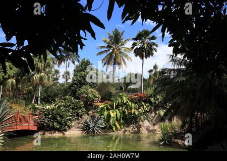 Guadeloupe - Karibik Urlaub. Botanischer Garten in Deshaies. Stockfoto