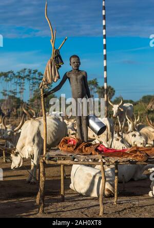 Mundari Stamm junge stehend auf einem Bett aus Holz in der Mitte seiner langen Hörner Kühe, Central Equatoria, Terekeka, South Sudan Stockfoto