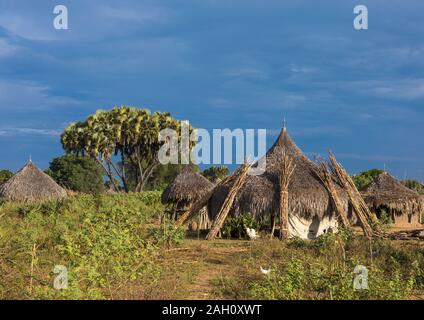 Traditionelle Mundari Stamm Dorf mit doum Palmen, Central Equatoria, Terekeka, South Sudan Stockfoto