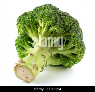 Brassica oleracea var italica Brokkoli isoliert gegen den weißen Hintergrund Stockfoto