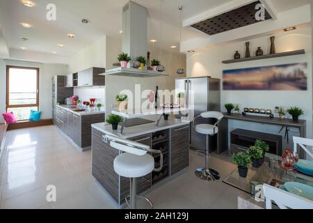 Küche in geräumigen und modernen Luxus Apartment. Einrichtung in hellen Farbtönen. Stilvolle Küche eingestellt. Stockfoto