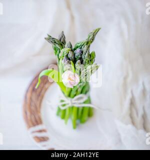 Grüner Spargel und Tulip auf einem hellen Hintergrund. Saison von Spargel. Ansicht von oben, Quadrat Foto Stockfoto
