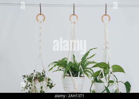 Nahaufnahme von Seil hängenden Potted plant vor einer Weile Wand Stockfoto