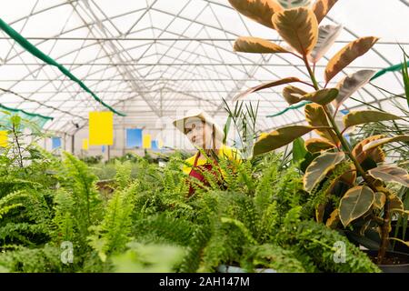 Lächelnde Frau Florist bei der Arbeit in einem Gewächshaus mit Zimmerpflanzen Stockfoto