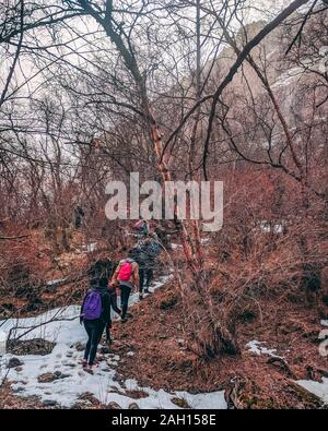 Sind eine Gruppe von Touristen mit großen Rucksäcken auf Berg. Ausdauer Konzept, Gruppe der Wanderer bis Klettern im Wald. Stockfoto