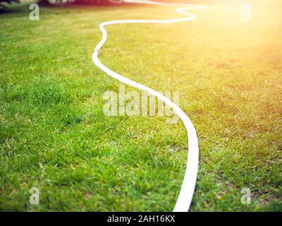 Weiß Bewässerung Schläuche auf grünem Rasen. Tag Sommer. Sonnig Stockfoto