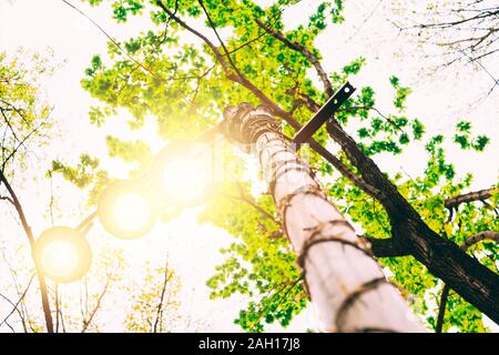 Retro Laterne in den Park gegen den blauen Himmel und Bäume Stockfoto