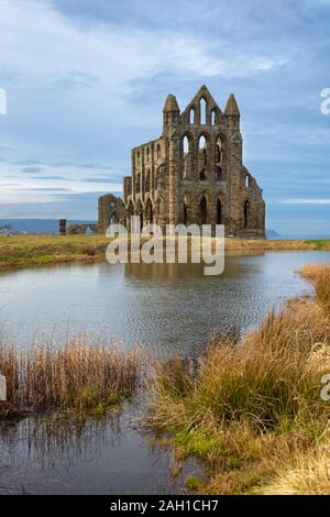 Whitby Abbey, mit Blick auf die Nordsee im Osten Klippe über Whitby, North Yorkshire, England Stockfoto