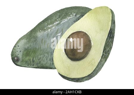 Aquarell Gemüse. Avocado illustrierte Werk Stockfoto