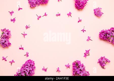 Top view Frame mit lila Blumen und Platz auf rosa Hintergrund kopieren Stockfoto