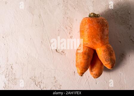 Hässliche Gemüse, Möhren auf einem hellen Hintergrund. lustige Monster Möhre das Konzept der nicht-Produktion in der Lebensmittelindustrie Stockfoto