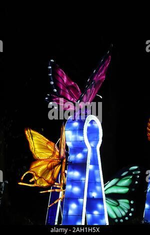 Manchester, England: Dec 22 2019 - Lightopia, Heaton Park, verschiedene Laternen auf der light Festival Stockfoto