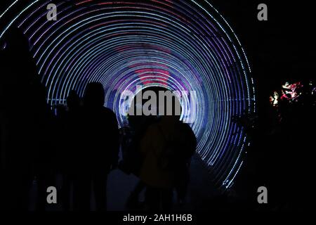 Manchester, England: Dec 22 2019 - Lightopia, Heaton Park, verschiedene Laternen auf der light Festival Stockfoto