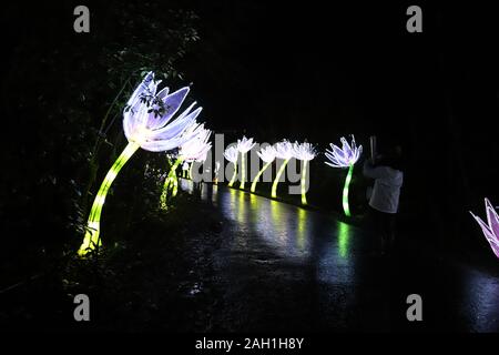 Manchester, England: Dec 22 2019 - Lightopia, Heaton Park, verschiedene Laternen auf der light Festival Stockfoto