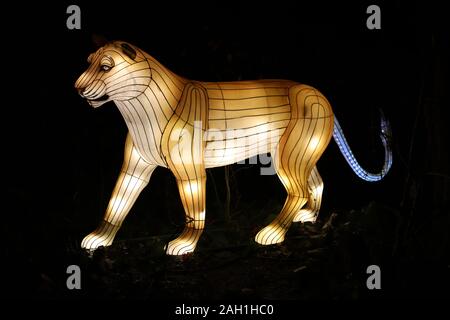 Manchester, England: Dec 22 2019 - Lightopia, Heaton Park, verschiedene Laternen auf der light Festival Stockfoto