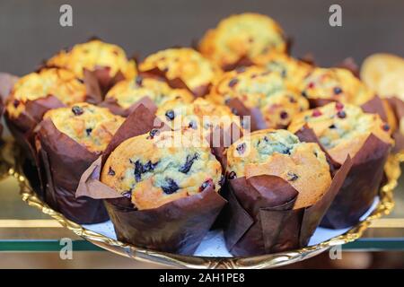Blueberry Muffins Cupcakes in Papier in Fach Stockfoto