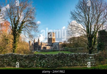 Die Kathedrale von St Davids Tyddewi Pembrokeshire Coast National Park Stockfoto