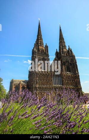 Die Westfassade der Kathedrale von Lichfield, die einzige mittelalterliche englische Kathedrale mit drei Türmen, ist in Lichfield, Staffordshire, England, UK. Stockfoto