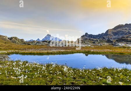 Die longet Seen, im oberen Tal Varaita, an der Grenze zwischen Italien und Frankreich, spiegeln die Alpengipfel, unter denen Monviso, König von Stein, s Stockfoto