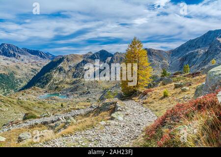 Die Farben des Herbstes, durch die roten Blaubeeren dominiert, das intensive Blau des Himmels und das smaragdgrüne Wasser der Bergseen Stockfoto