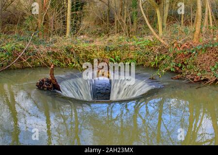 Wasser fällt ein Ziegelstein Abfluss in den versteckten Waldbach Stockfoto