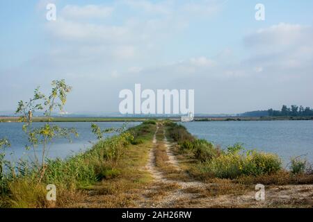 Der Weg in zwischen zwei Süßwasserpools, mit bunten Natur umgeben Stockfoto