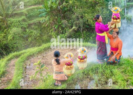 Ubud, Bali - 29. Juli 2016: Die traditionelle zeremonielle Kleidung der balinesischen Frauen und ihren hohen Körben von hinduistischen Tempel Essen angeboten. Stockfoto