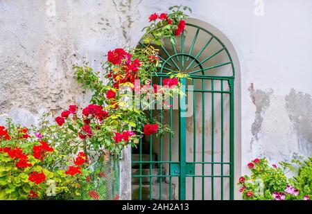 Sommer in Italien. Ein Blick auf die Straße von einem bogenförmigen Eingang mit einem eisernen Tor, in einem alten, gebrochenen Wand, mit einem bunten Ziergarten. Stockfoto