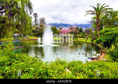 Teich und Brunnen im Parque de Santa Catarina (Santa Catarina Park) Funchal, Madeira, Portugal Stockfoto