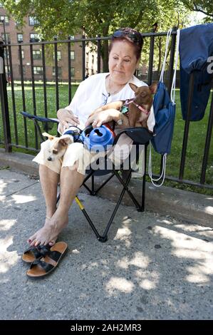 Zuschauer bei der Kinder evangelische Parade in East Harlem in NEW YORK. Stockfoto