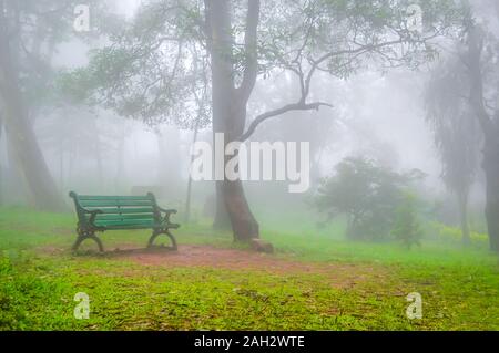 Eine grüne Bank für das Sitzen in einem Park auf einem sehr nebligen Tag tolle Atmosphäre bei Nandi Hills in Bangalore. Stockfoto