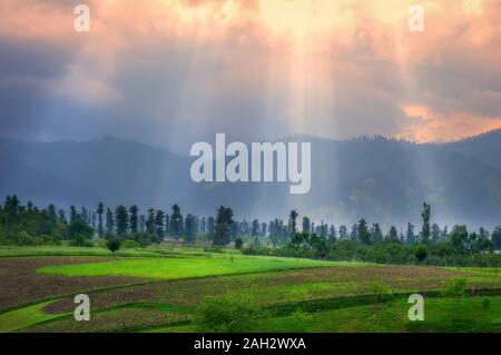 Lichtstrahlen, die durch Wolken bei Sonnenuntergang und Schlagen, üppig grüne Landschaft Stockfoto
