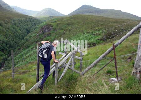 Hillwalker Klettern eine gebrochene Holz- Stil in die schottischen Berge Corbett Ben T-Stück von kilfinnan im Great Glen, Scottish Highlands, Schottland. UK. Stockfoto