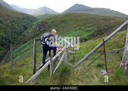 Hillwalker Klettern eine gebrochene Holz- Stil in die schottischen Berge Corbett Ben T-Stück von kilfinnan im Great Glen, Scottish Highlands, Schottland. UK. Stockfoto