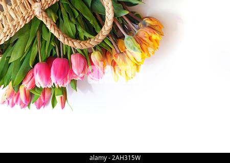 Bündel von frischen bunten Frühling Tulpen im Warenkorb auf weißen Tisch mit Platz kopieren Stockfoto