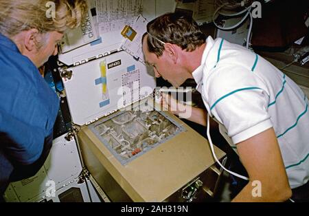 (12 - 20 September 1992) - - - Astronauten Jan Davis, Mission Specialist, und Curtis Brown, Jr., Pilot, die Fortschritte, die von einigen der 180 weibliche Orientalische Hornissen an Bord des Space Shuttle Endeavour beaufsichtigen. Stockfoto