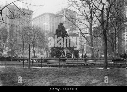 Madison Square Weihnachtsbaum Ca. 1913 Stockfoto