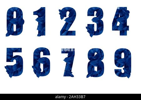 Nummer 0 bis 9 von Blättern. Ziffern getönten in trendigen Classic blau Farbe auf weißem Hintergrund. Pflanzliche oder natürliches Konzept. Null Abfall floral Symbol Stockfoto